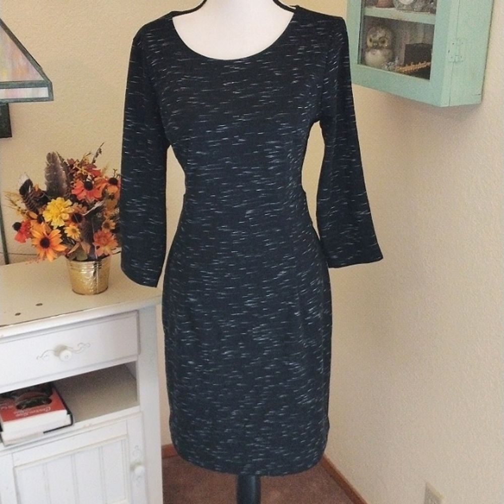 Banana Republic Black and Gray Long Sleeve Dress